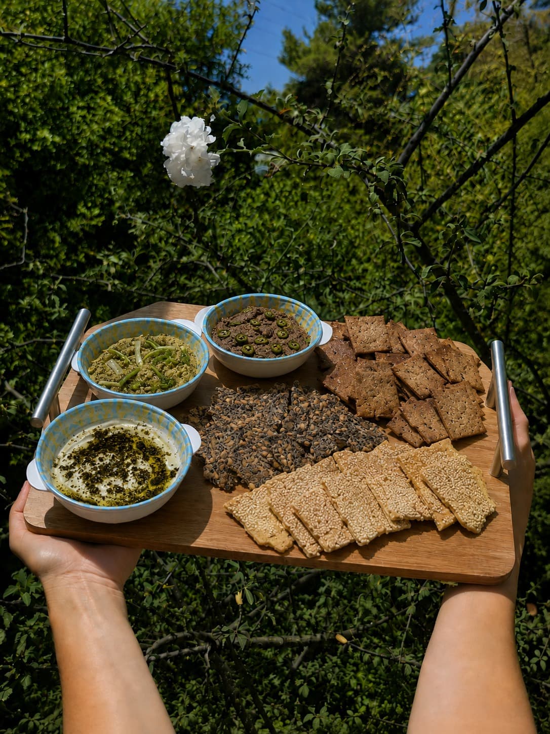 מגש קרקרים ומטבלים מזווית נוספת, מוחזק מול צמחייה ירוקה